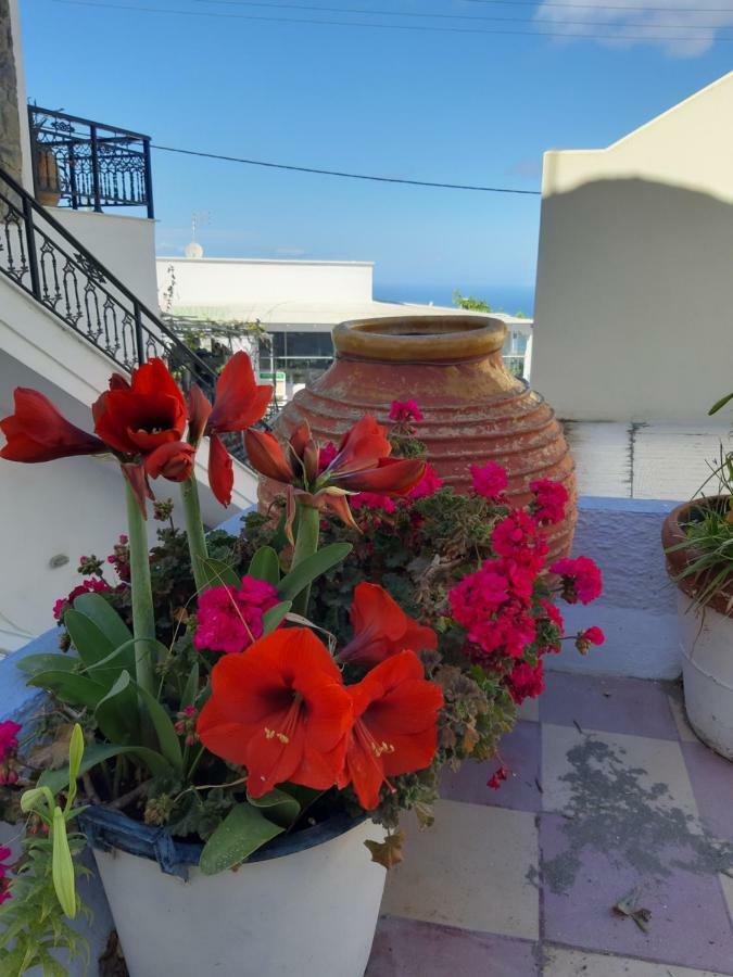 Katerina Kafieri Apartments Фіростефані Екстер'єр фото